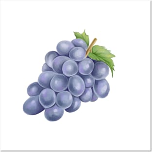 Grape Posters and Art